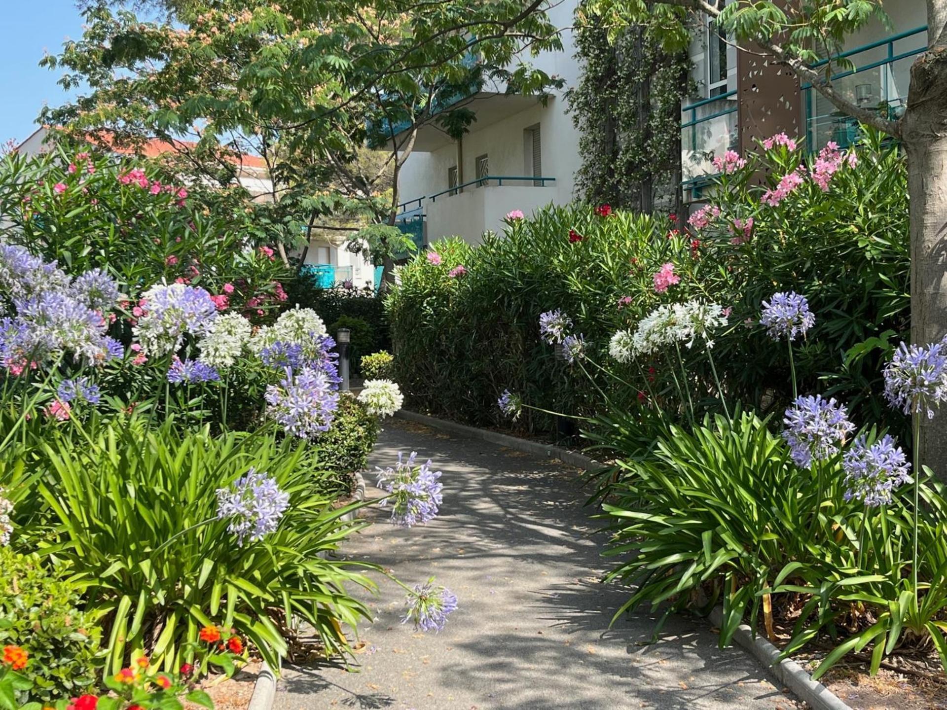 Saint-Raphael, Boulouris, F2 Dans Belle Residence 3 Piscines, Proche Bord De Mer Luaran gambar